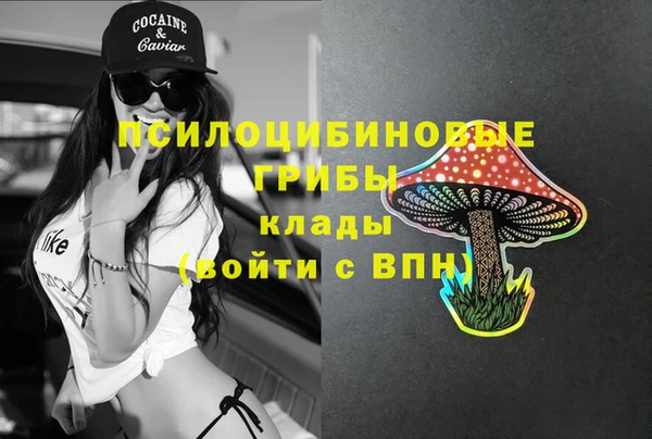 бошки Абдулино