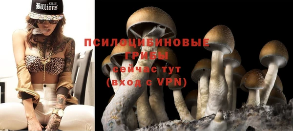 бошки Абдулино